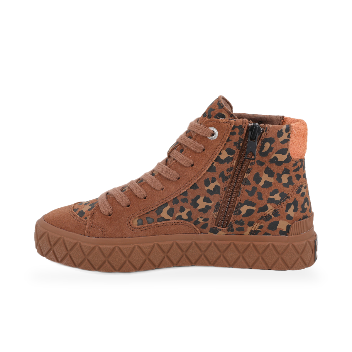 PALLA ACE CHUKKA SDE