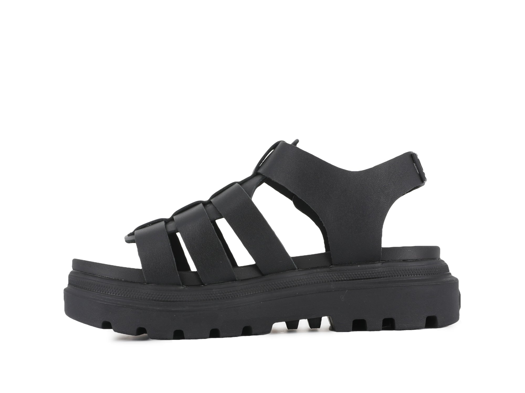 PALLACRUISE FISHERMAN