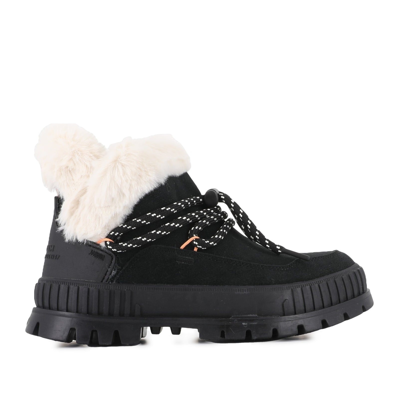 PALLASHOCK LO HIVER