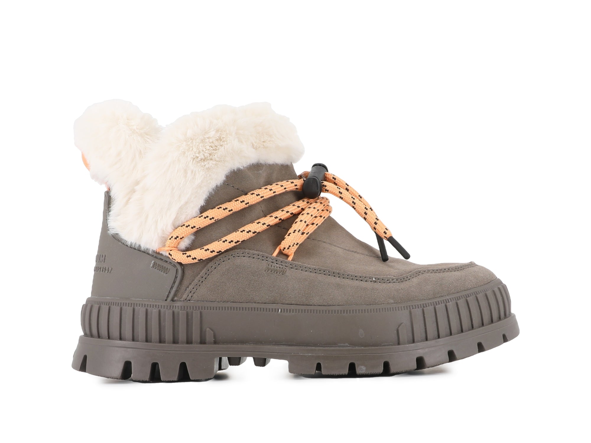 PALLASHOCK LO HIVER