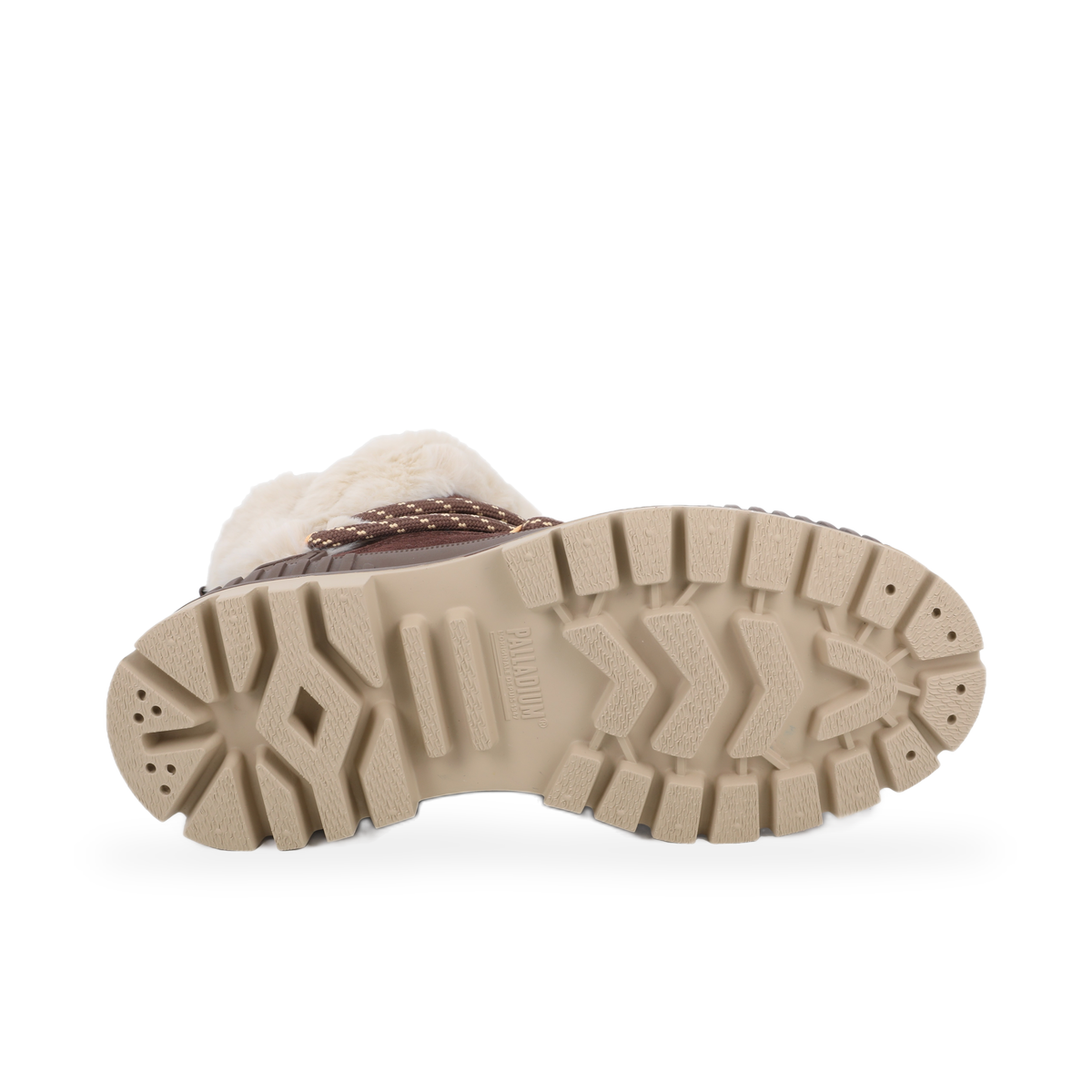 PALLASHOCK LO HIVER