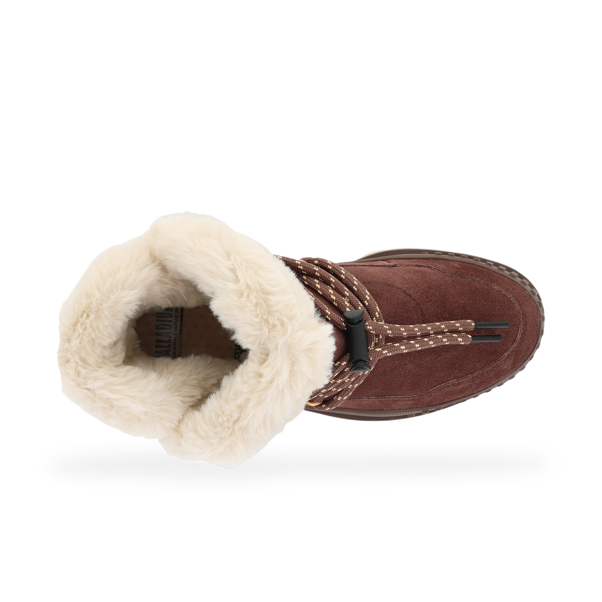 PALLASHOCK LO HIVER